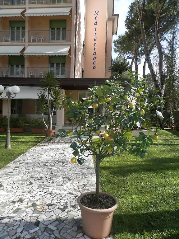 Hotel Mediterraneo Marina di Pietrasanta