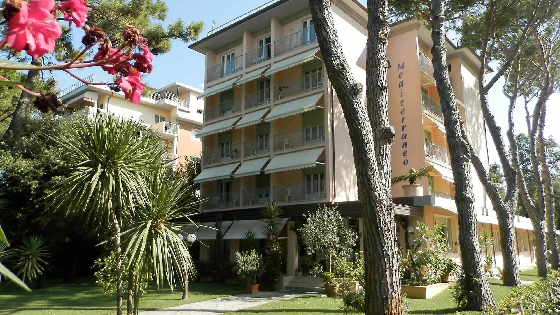 Hotel Mediterraneo Marina di Pietrasanta