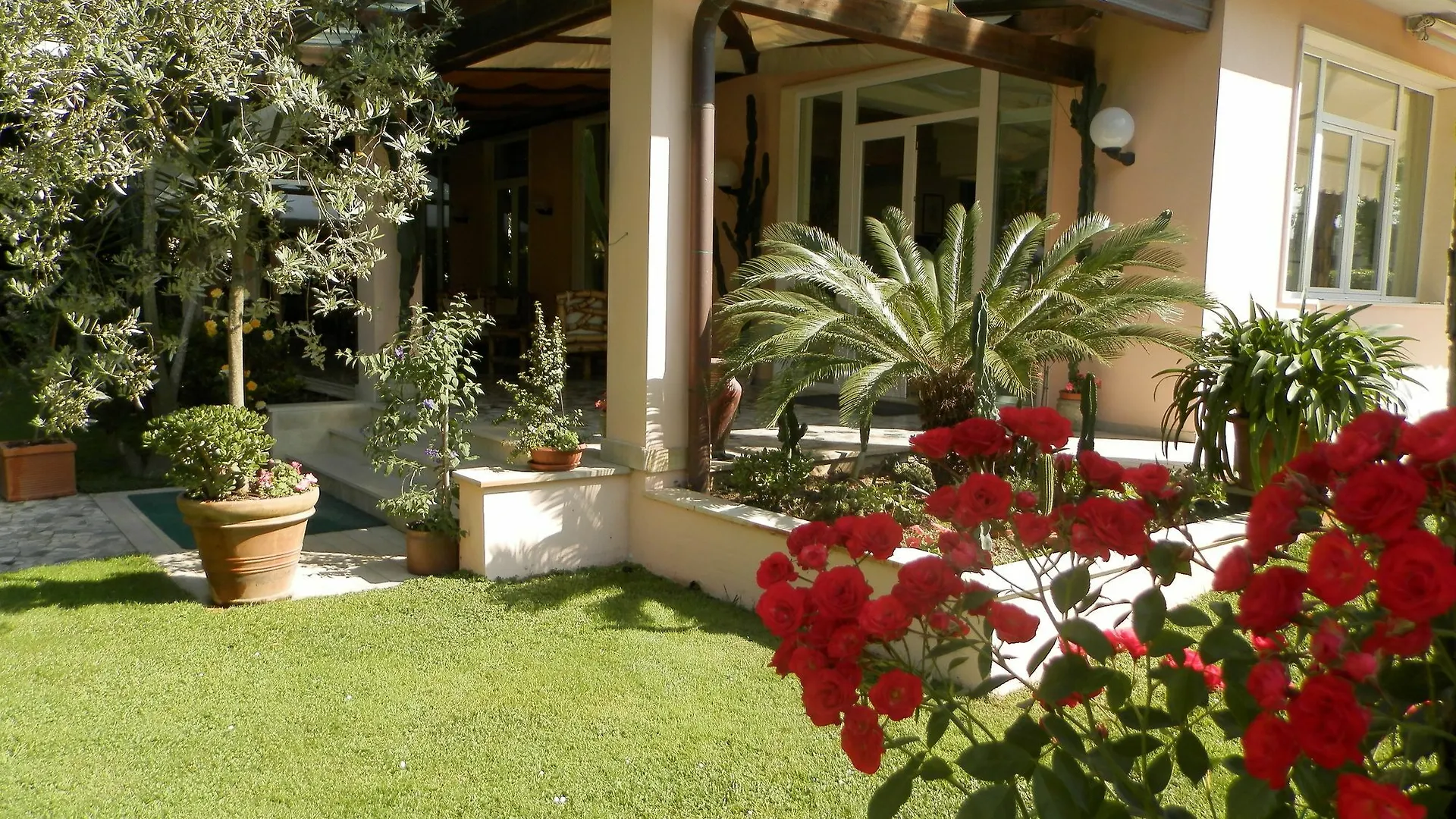 Hotel Mediterraneo Marina di Pietrasanta
