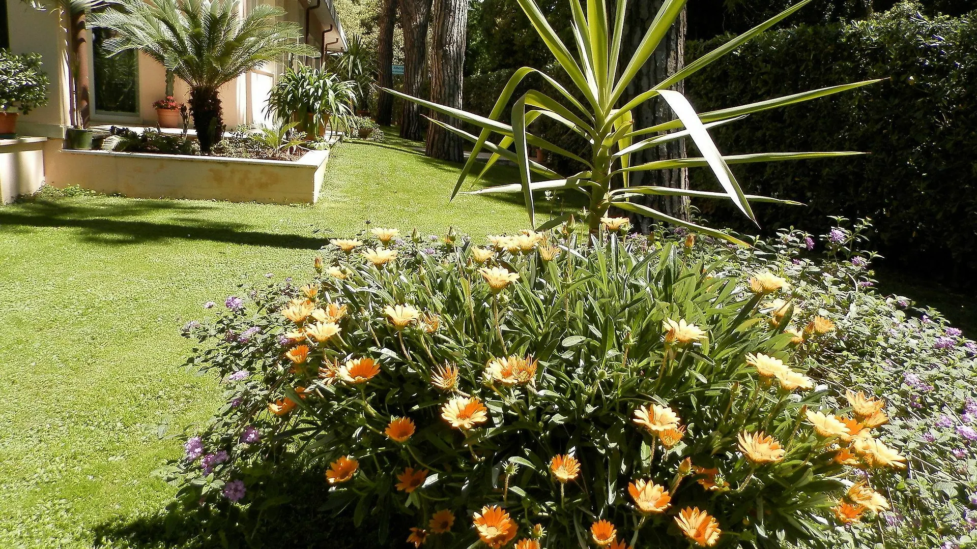 Hotel Mediterraneo Marina di Pietrasanta